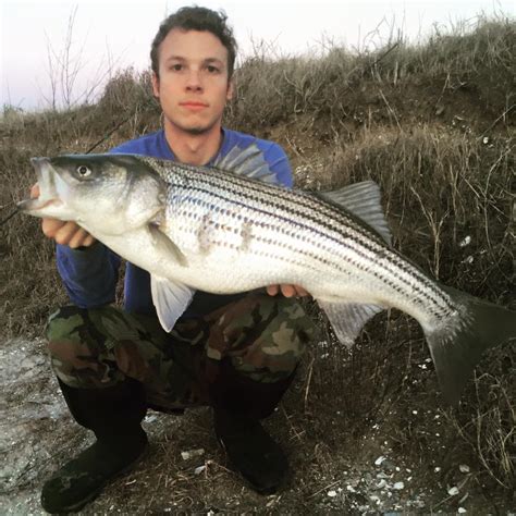 Striped Bass Fishing Charter | Finao Sportfishing