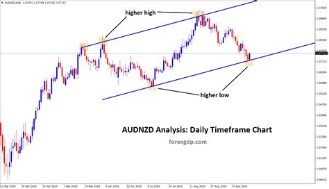 AUDNZD reached the higher low of the Uptrend line in D1 Chart | FOREX GDP