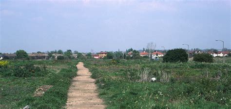 Hoggin-Path-medium – Mitcham Common