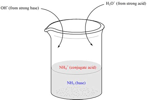 Which Of The Following Represents A Buffer System? - magmastory