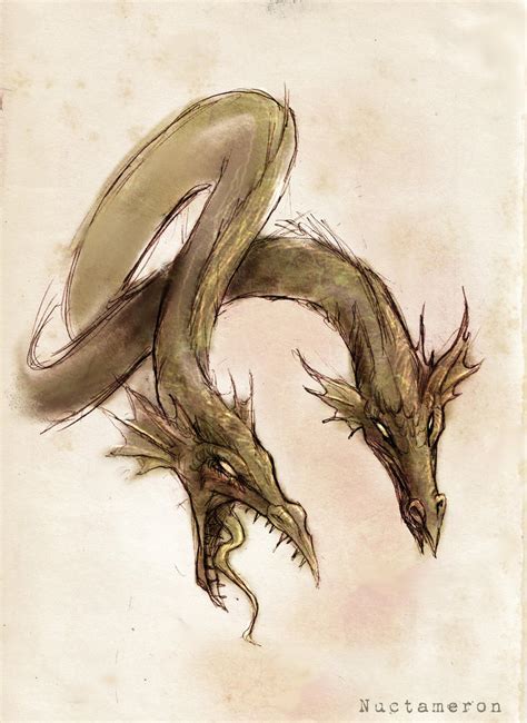 two headed dragon sketch by Nuctameron on DeviantArt