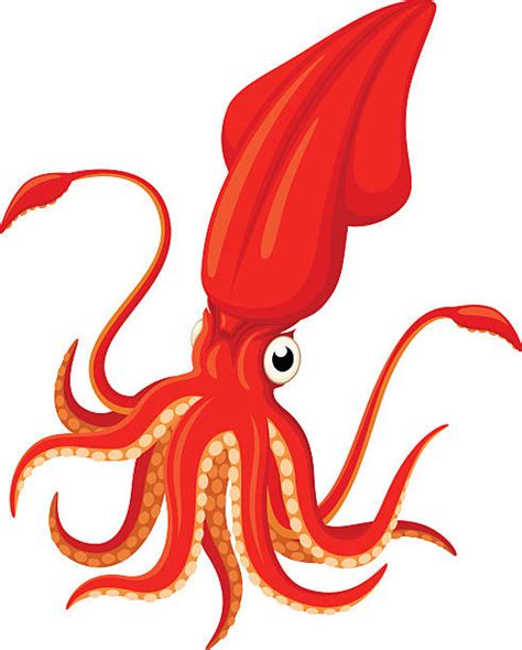 giant squid clipart 10 free Cliparts | Download images on Clipground 2024