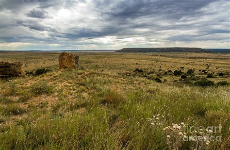 Down In The Valley Photograph by Ashley M Conger - Pixels