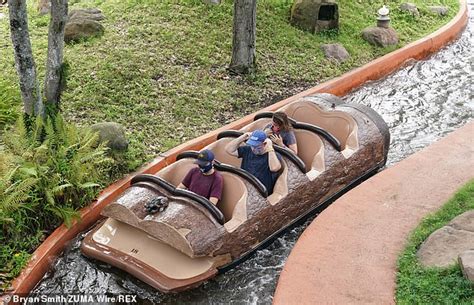 Splash Mountain log flume at Disney World sinks - New York Times Post