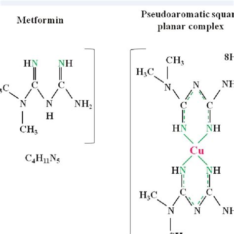 Metformin and One-Carbon Metabolism. While reducing the absorption of ...