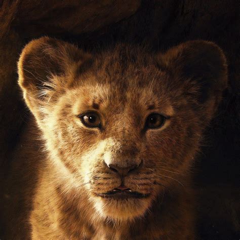 Download simba, the lion king, 2019 movie 2932x2932 wallpaper, ipad pro ...