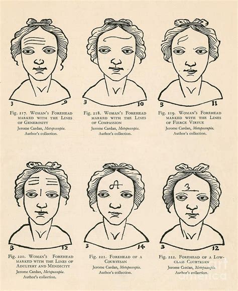 Physiognomy by Science Source | Chinese face reading, Face reading ...