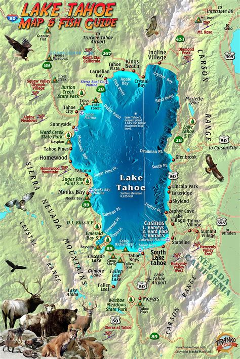 Lake Tahoe Area Map