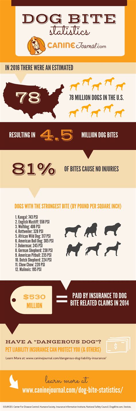 Dog Bite Statistics (How Likely Are You To Get Bit?) – CanineJournal.com