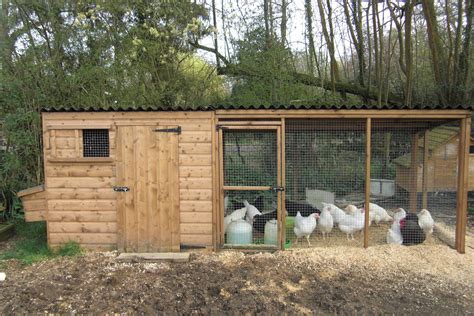 chicken houses | ... house with nestboxes and large adjoining run ...