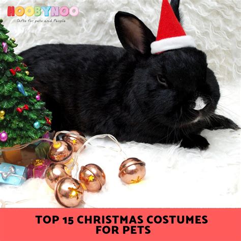 Top 15 Christmas Pet Costumes