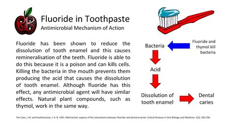 www.RdBNutrition.com: Fluoride in Toothpaste