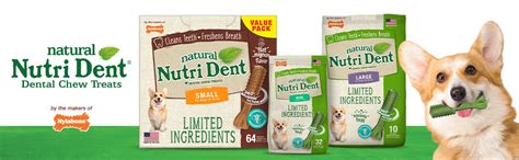 Amazon.com: Nylabone Nutri Dent Dog Dental Treats - Natural Dog Teeth ...