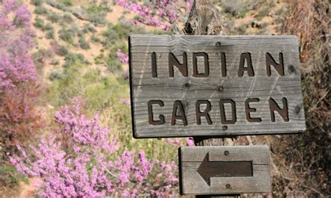 Indian Garden, Grand Canyon South Rim - AllTrips