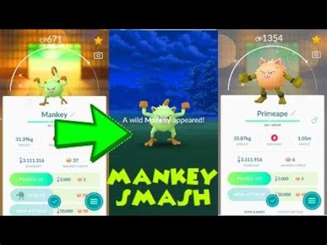 Pokemon Go - Shiny Mankey Catch & Shiny Primeape Evolution - YouTube