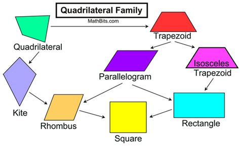 Quadrilateral Hierarchy Chart