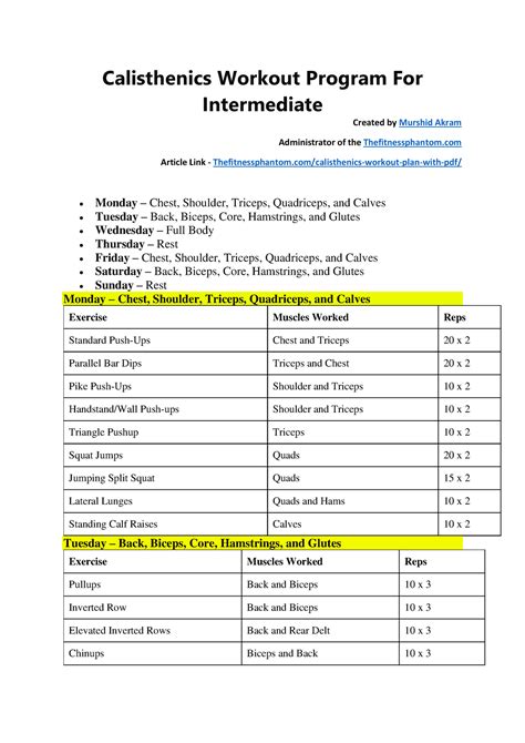 Calisthenics Workout Plan Intermediate PDF - Calisthenics Workout ...
