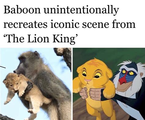 Lion king - Meme by Blazeman54 :) Memedroid