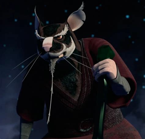 Splinter (TMNT 2012) | Heroes and Villains Wiki | Fandom