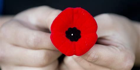 Target Canada: Remembrance Day Poppy Sellers Not Banned From Our Stores