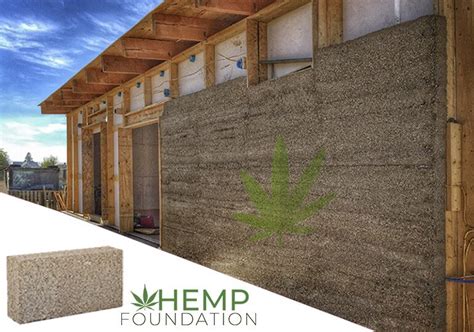 Hempcrete- How Hemp Can Transform the Construction Industry.