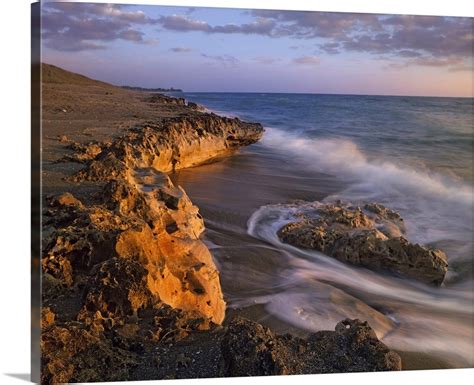 Beach at dusk, Blowing Rocks Preserve, Florida Wall Art, Canvas Prints ...