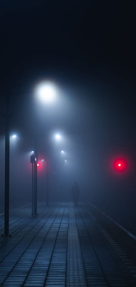 Foggy City, 2020, dark, fog, lamp, mate, mist, night, street, traffic ...