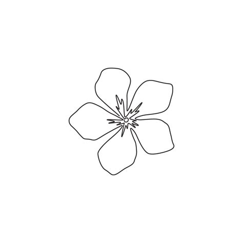 Periwinkle Flower Drawing