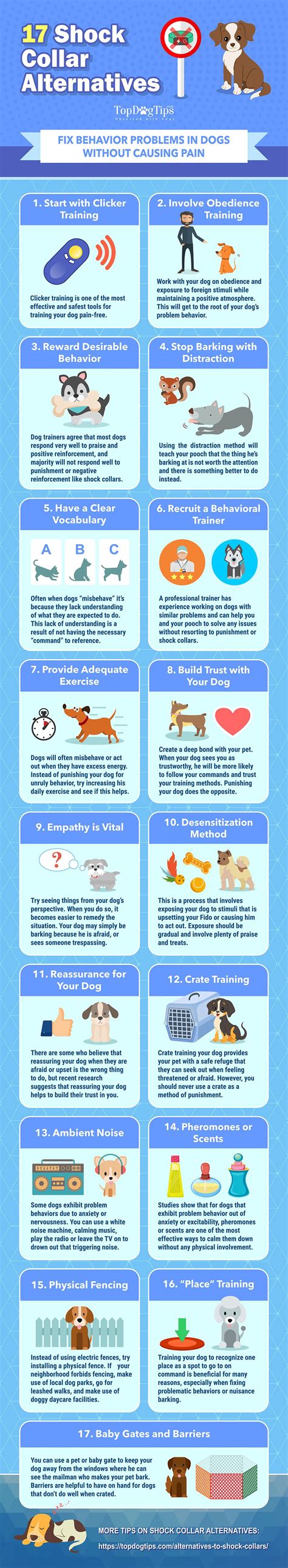 17 Alternatives to Shock Collars [Infographic] | Dog training obedience ...