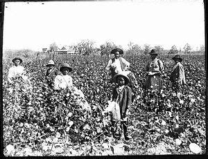 This shows farmers during the 1920s. | Escravidão, História americana ...