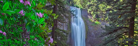 Top Waterfall Trails in the Willamette Valley - Travel Oregon