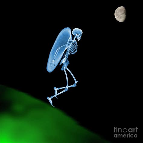 Flying Skeleton Photograph by D. Roberts/science Photo Library - Fine ...