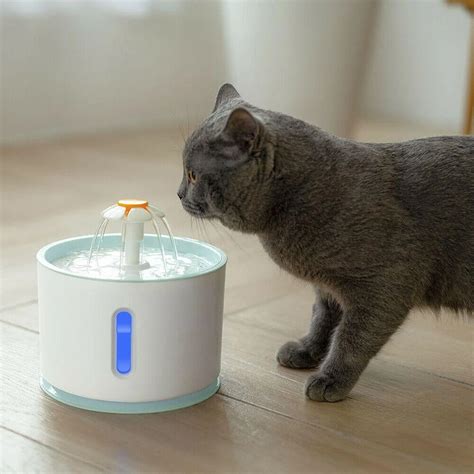 Pet Water Fountain – ishopzee | Pet water fountain, Cat water fountain ...