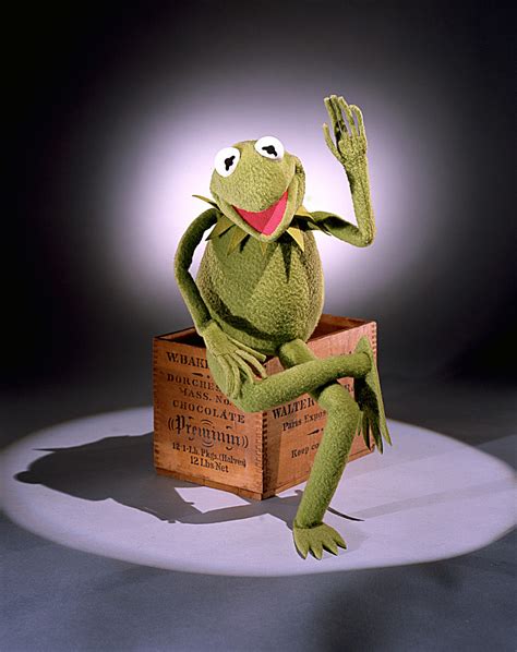 Kermit the Frog Puppet | National Museum of American History