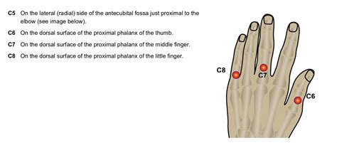 DERMATOMES-C5 TO C8 - NeuroRehab.wiki