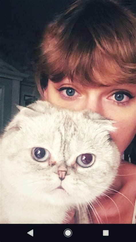 Taylor Swift In Cats