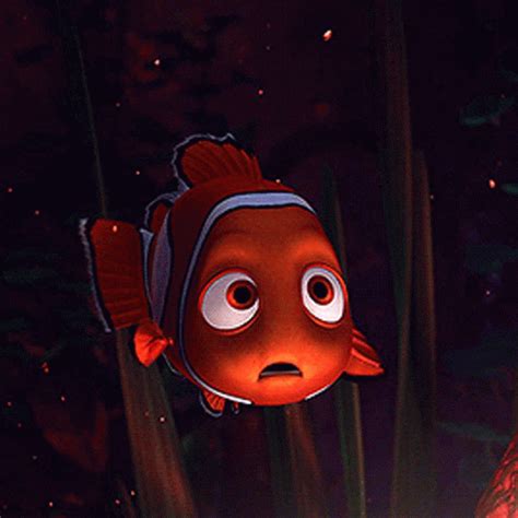 Finding Nemo Confused GIF - FindingNemo Confused LookingAround ...