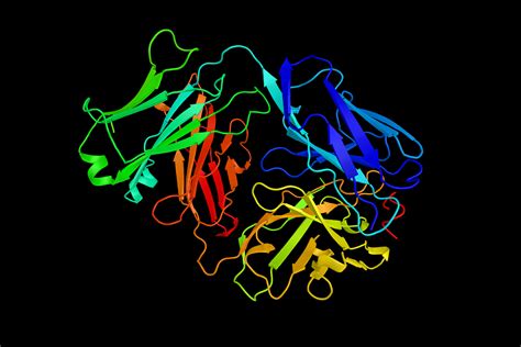 MS Patients Treated with Alemtuzumab Present With Infective Complications