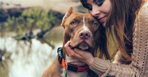 Why Dogs Are Good for Our Health (and Help Us Cope With Life)