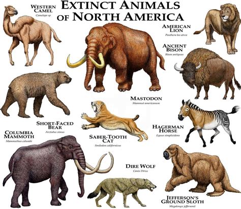 Extinct Mammals of North America Poster Print - Etsy