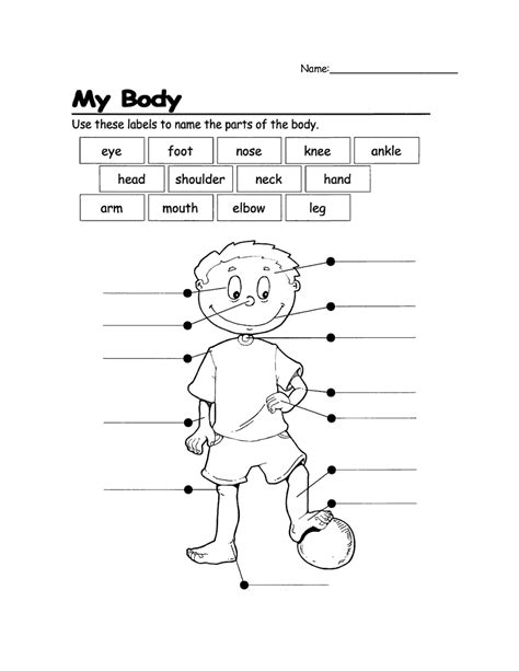 Body Parts Coloring Pages - Coloring Home