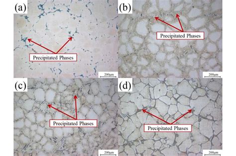 Study reveals corrosion mechanism of magnesium alloys in marine ...