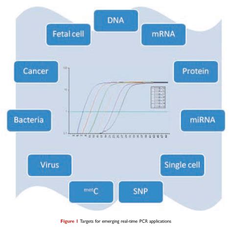 Emerging Real-time PCR Applications - Drug Discovery World (DDW)