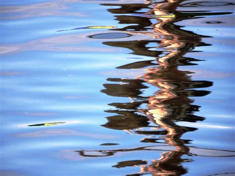 Free Stock Photo of Vivid blue abstract wavy water reflection ...