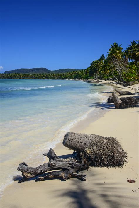 The 12 best beaches in the Dominican Republic - Lonely Planet