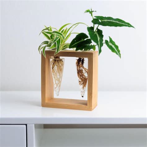 Plant Propagation Station - Tusk Gifts