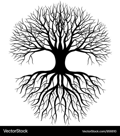 Tree silhouette Royalty Free Vector Image - VectorStock