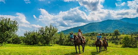 Blue Ridge Horseback Riding Next to Shenandoah National Pk