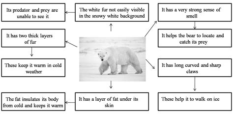 Weather, Climate And Adaptation of Animals to Climate - Practically ...