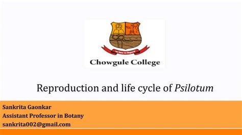 Reproduction and life cycle of Psilotum | PPT